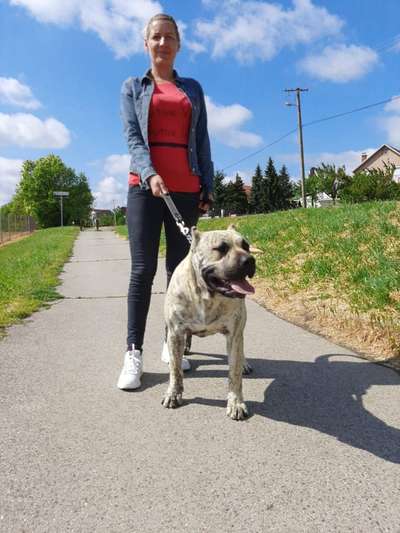 ZEUS GLADIATOR KENNEL