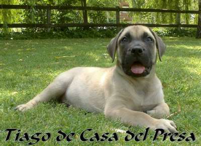 TIAGO DE CASA DEL PRESA