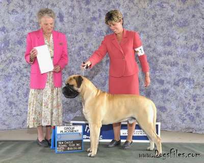 BANSTOCK BENEFICIARY OF HIGHPOINT