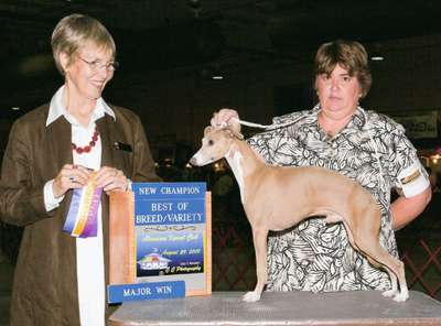 Uwharrie's Hall Of Fame
