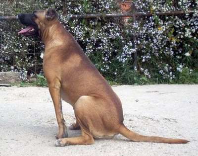 LOKA OF LUMEN