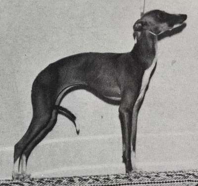 Millstone's Athena