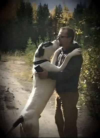 BRUTUS DE HHA