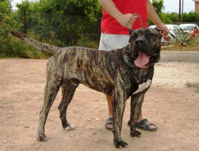 BYRON DE PROTECTION SPIRIT