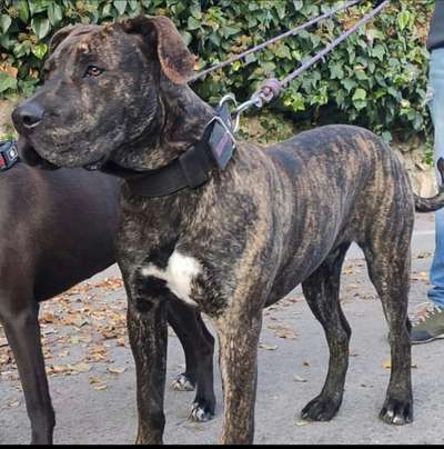 TITO DE KING ZULU