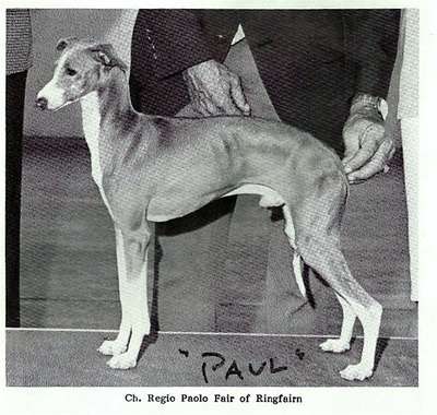 Regio Paolo Fair Of Ringfairn