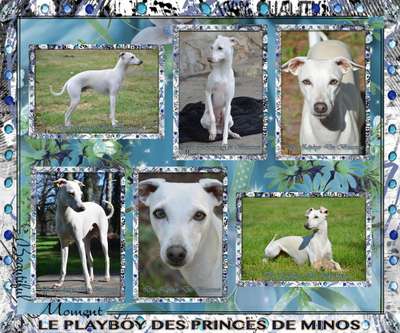 Le Playboy Des Princes De Minos