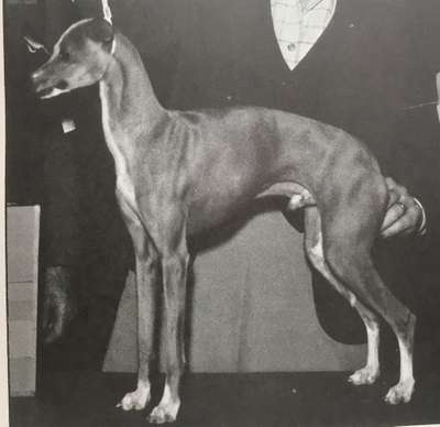 Millstone's Duke Of Padua