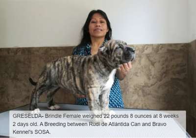 BRAVO KENNEL’S GRESELDA