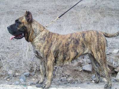 WIRA DE SOMBRAS DEL NUBLO