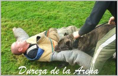 DUREZA DE LA ARENA