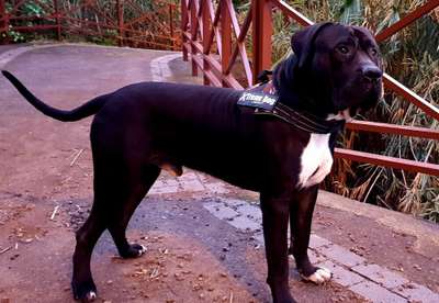 BENEHARO DE ANAGA